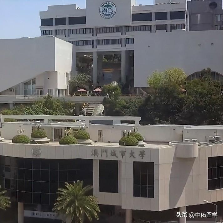 2024澳门天天开奖免费材料,前沿解读与定义_ABF87.410设计师版