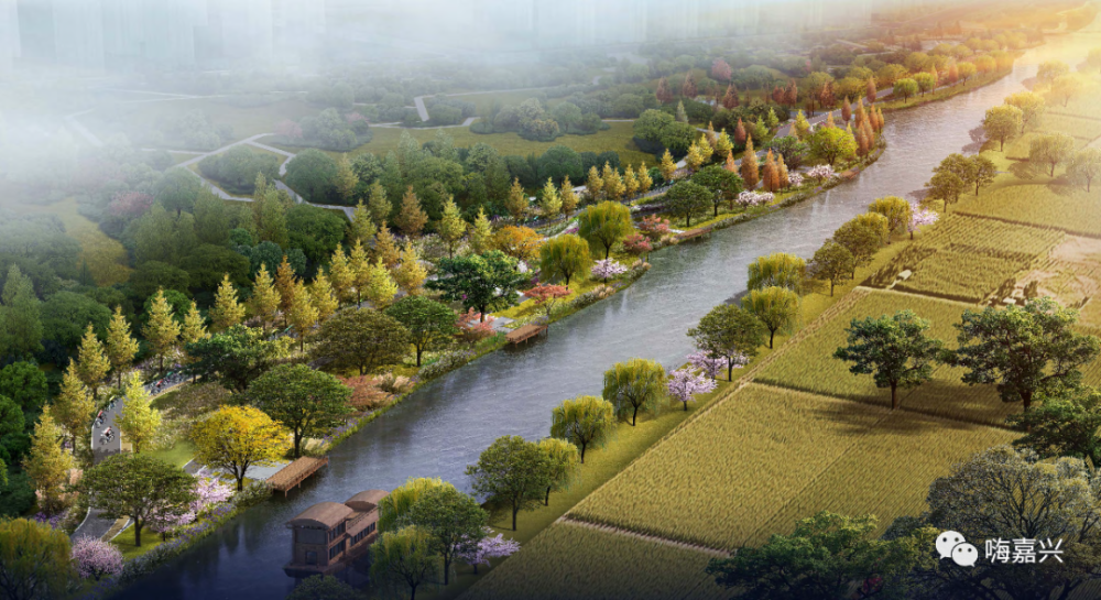 浙江嘉兴新塍最新规划,梦想起航,未来展望无限美好