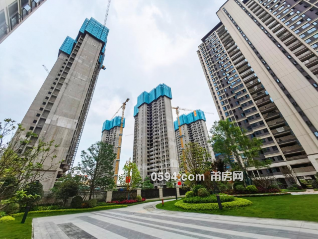 成都保利堂悦最新价格揭秘,背后的故事与情感纽带解析