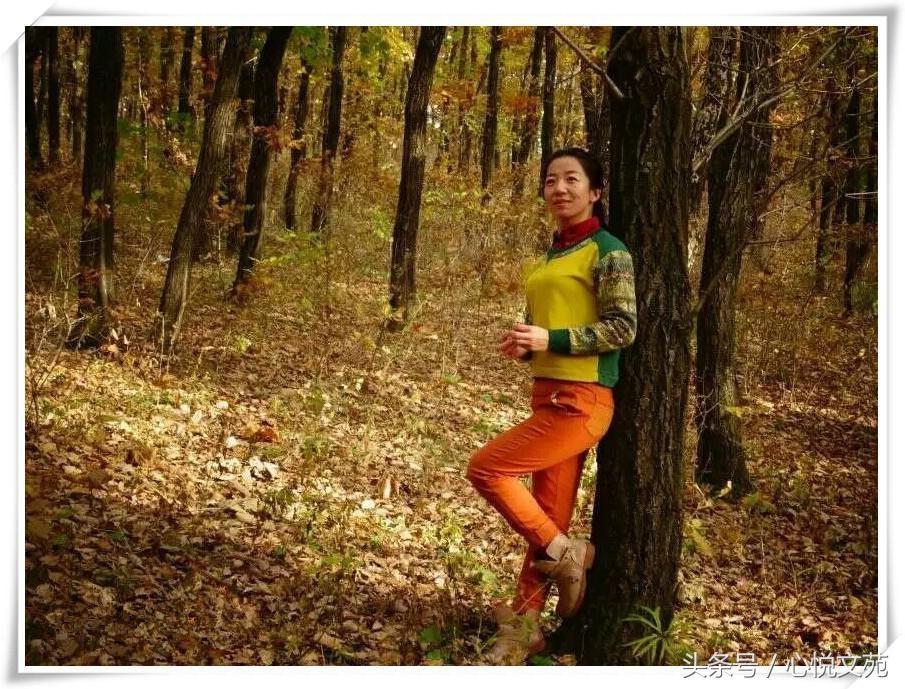 微信最新版主,轻松探索自然美景的旅程