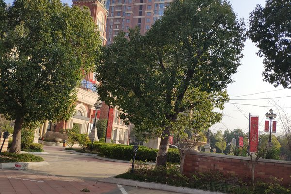 淮南英伦联邦最新动态更新