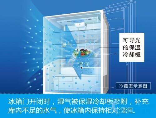 2024年新奥门资料大全最新版本,高速应对逻辑_YNG57.339社区版