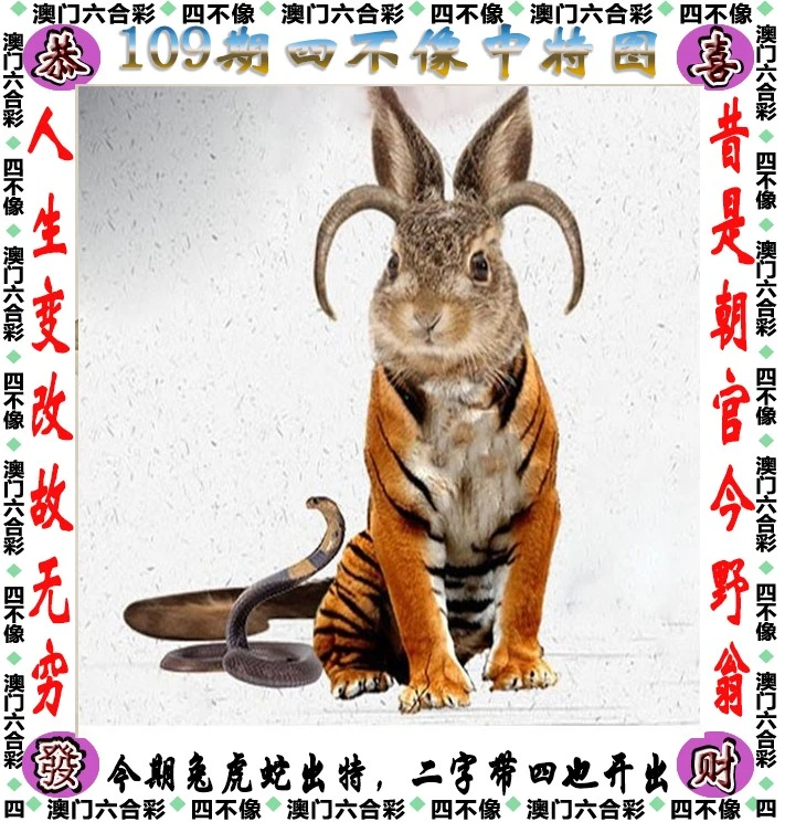 今晚四不像必中一肖,DNS服务_AON57.129随意版