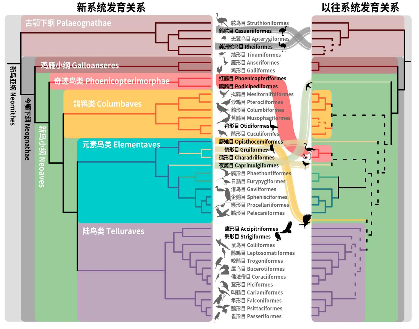 澳门精准免费资料大全,担保计划执行法策略_DCK57.186图形版