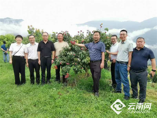 云南张朝德最新动态揭秘