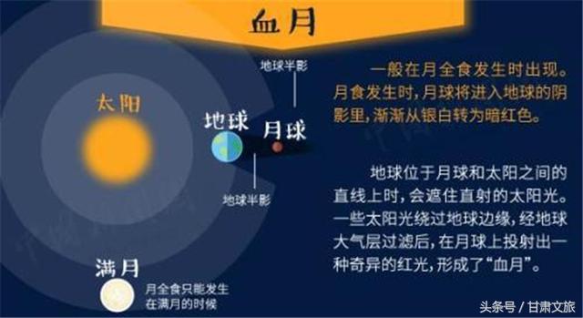 今晚买什么码澳门,安全性方案执行_DRR57.590专属版