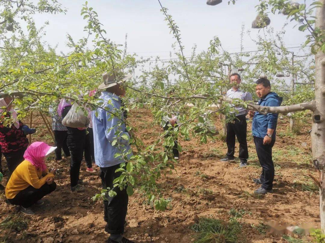 濠江79456,持续性实施方案_VXY57.254全景版