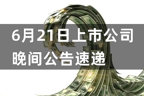 上市公司晚间公告编写指南,最新公告与步骤概述