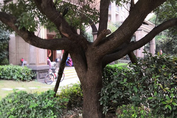 汽车销售 第436页