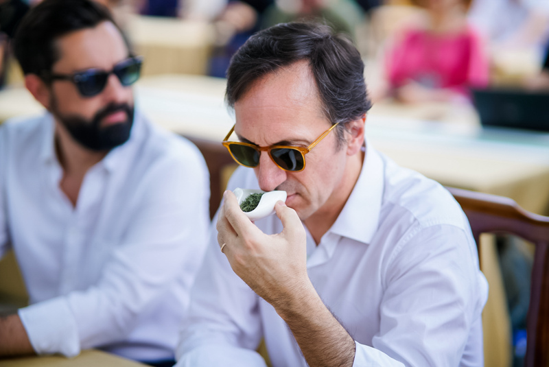 河南食全食美最新调查报告揭晓