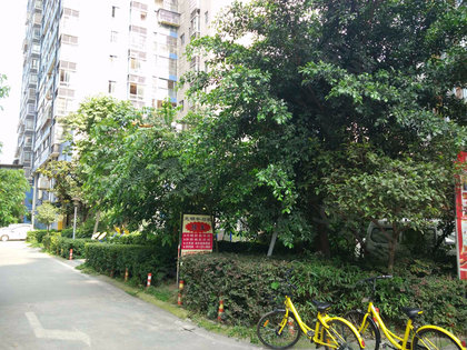 府河星城科技新品引领未来生活新潮，最新问题与科技新品解析