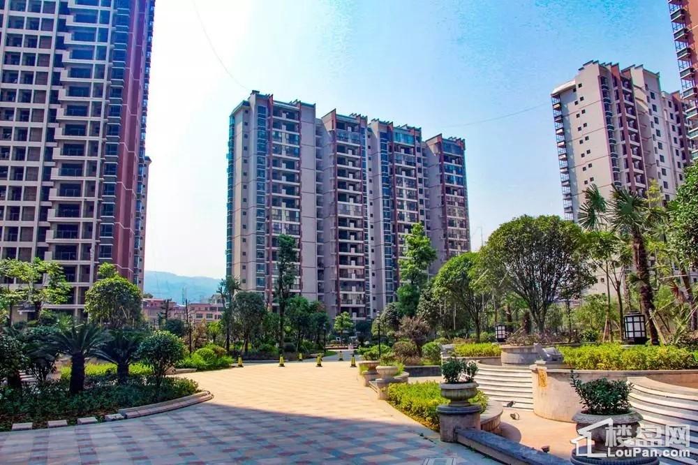 张家界最新房价，科技重塑居住梦想，开启未来生活新篇章