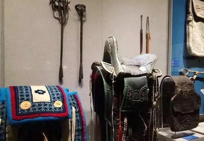 呼市王朝健身最新进展,呼市王朝健身最新进展,健身之旅的温馨日常