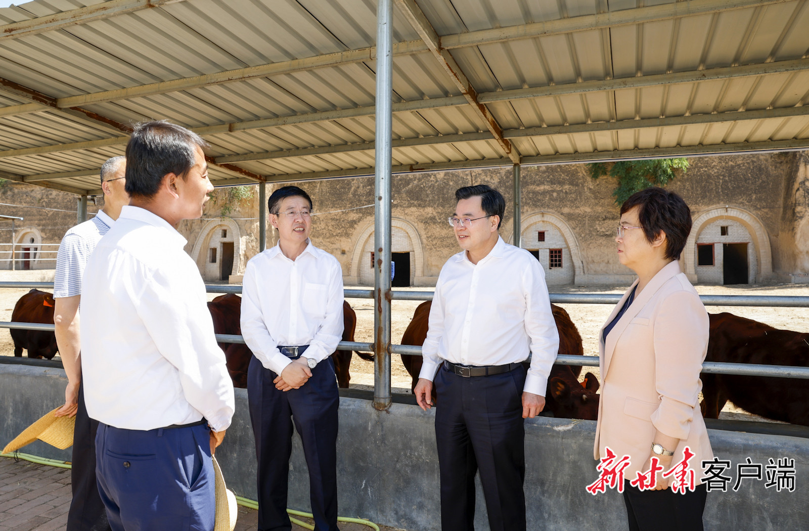 武威马顺龙最新消息,武威马顺龙最新消息