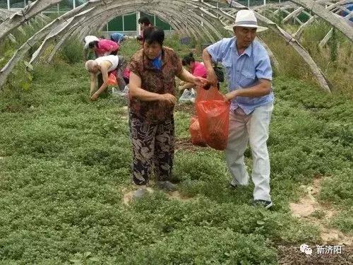 汽车销售服务 第316页