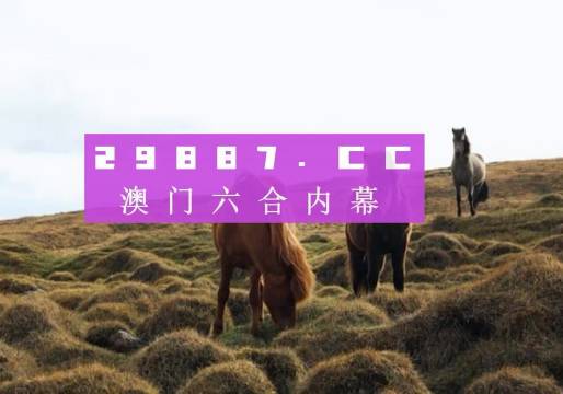 汽车零配件零售 第205页