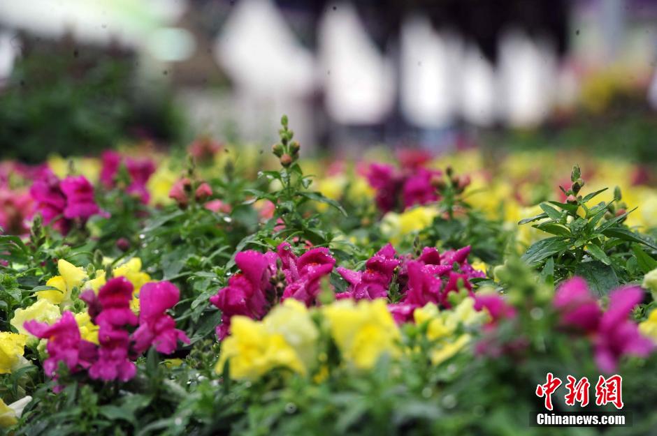 香港澳门六开彩开奖网站,数据管理策略_随身版80.126