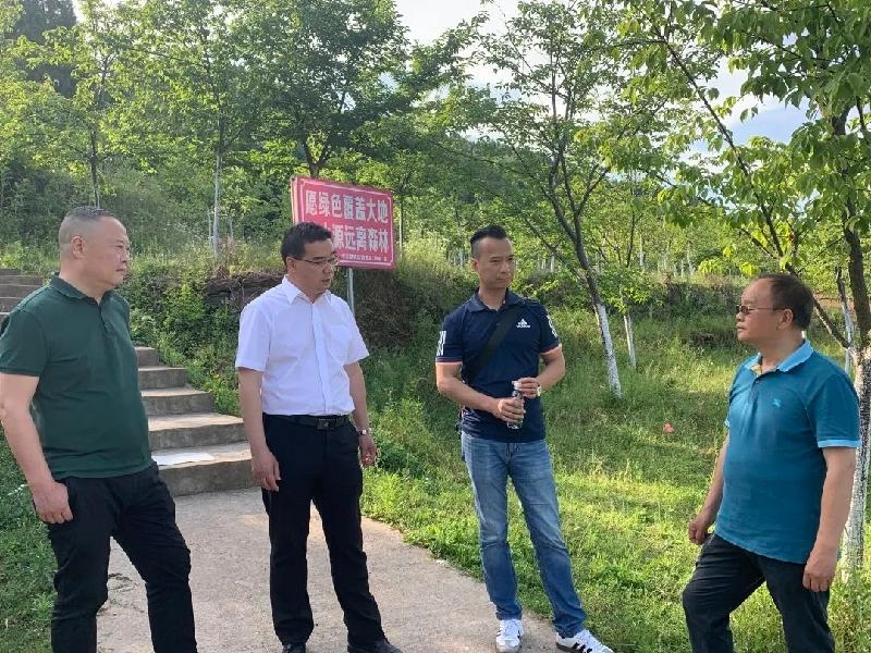 汽车销售服务 第240页