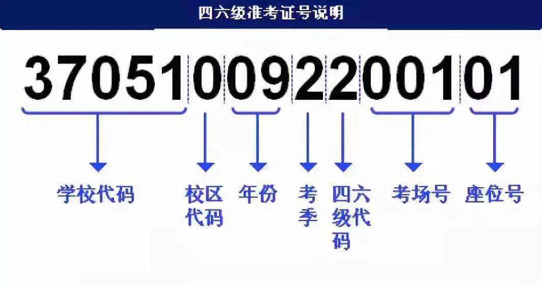 2023澳门正版资料大全免费二,策略优化计划_机器版60.799