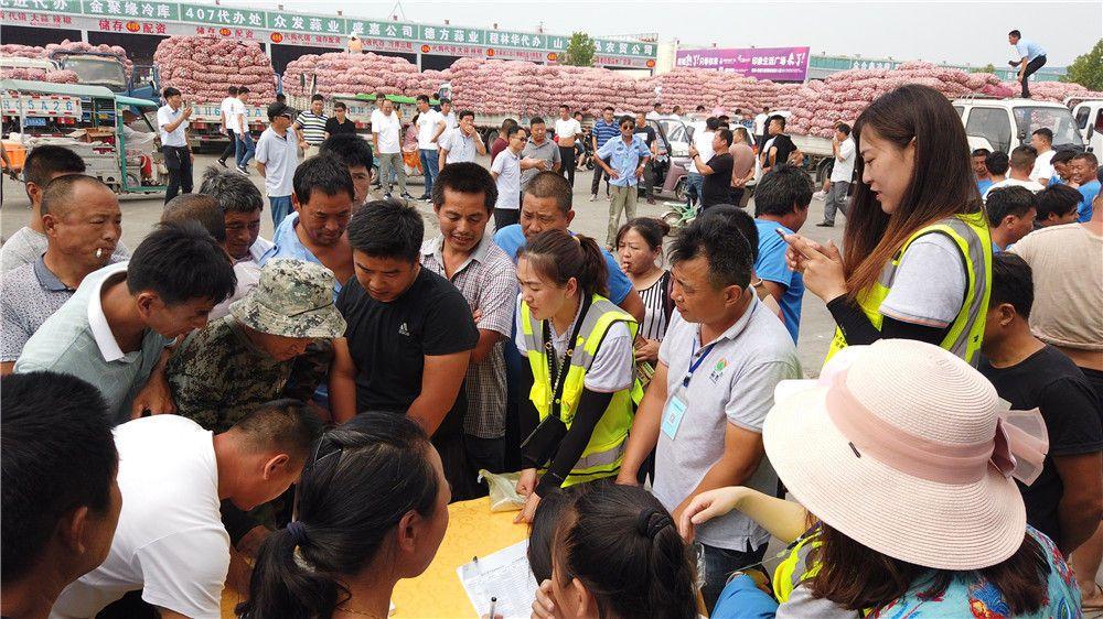 金乡蒜片最新价格信息,实时更新!