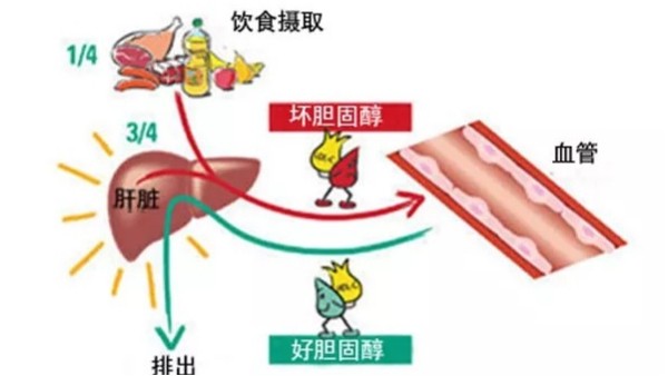 第526页