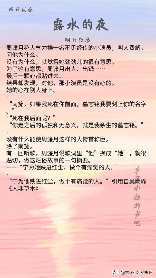 明开夜合最新小说魅力深度解析与观点探讨