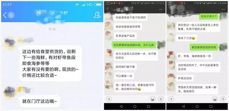 微信聊天截图最新，启程探索自然美景，寻找内心绿洲的旅行体验