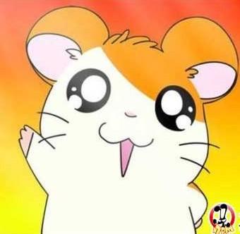 动漫鼠,动漫鼠,完成任务与技能学习步骤指南