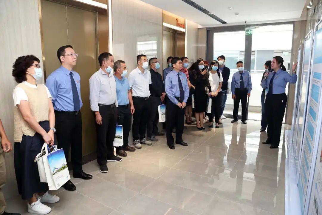 广东电视珠江频道在线直播,科技与生活融合的新纪元