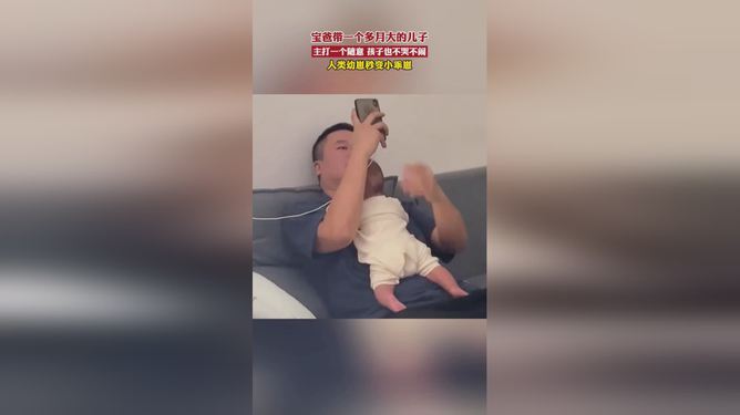 小乖崽新动态,深度探究的观点分析