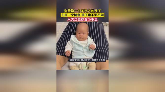 小乖崽新动态,深度探究的观点分析