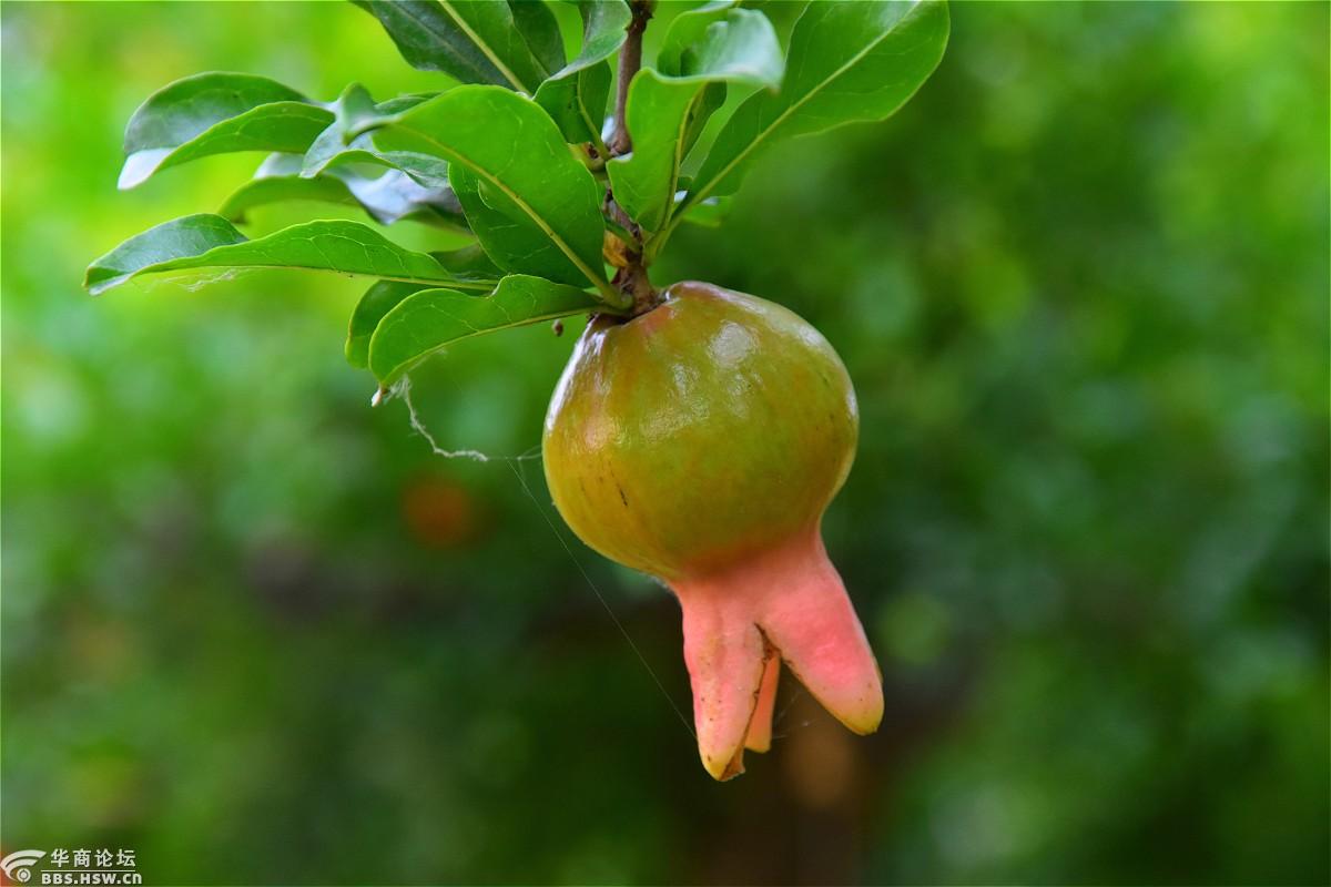 青榴学习新变化,自信塑造未来之路