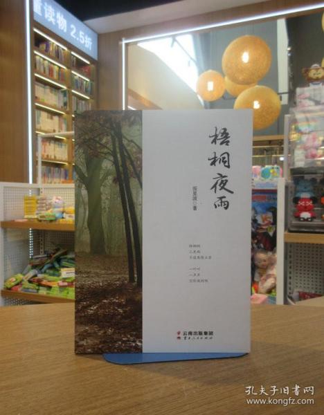 梧桐夜雨时最新小说及其创作步骤指南