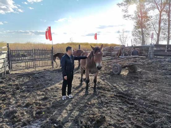 养马镇新篇章，周边最新规划与温馨的日常规划之旅