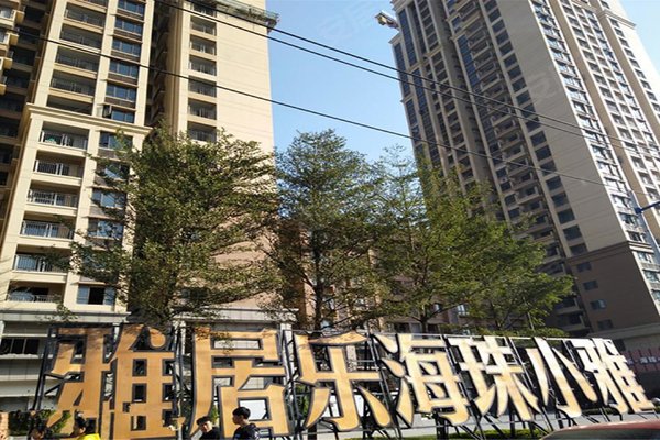 海珠小雅最新动态及相关观点深度解析