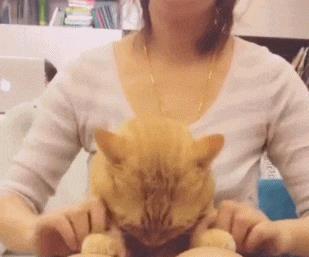 烹饪冒险最新版下载,探索小巷美食秘境的烹饪之旅