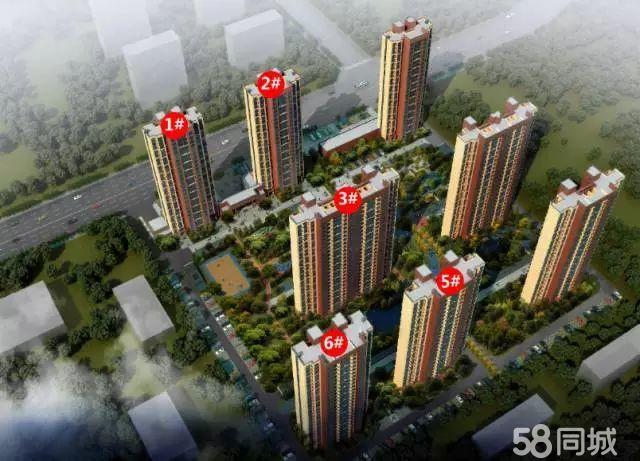 高碑店万和派生态之旅,最新动态探索自然美景