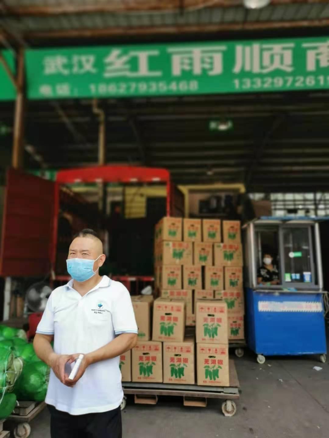 今日包菜价格最新行情,爆款更新