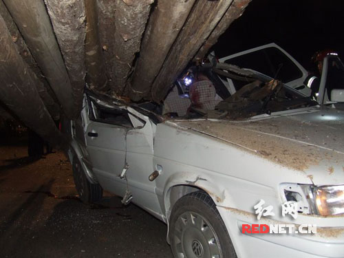 祁阳车祸最新消息,自然之旅中的奇迹与心灵平静之旅遭遇意外挑战