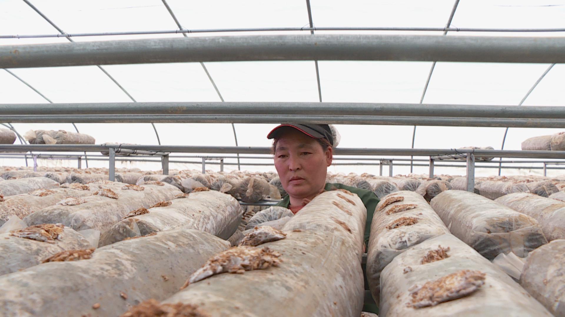 湖北来凤大河最新图片欣赏