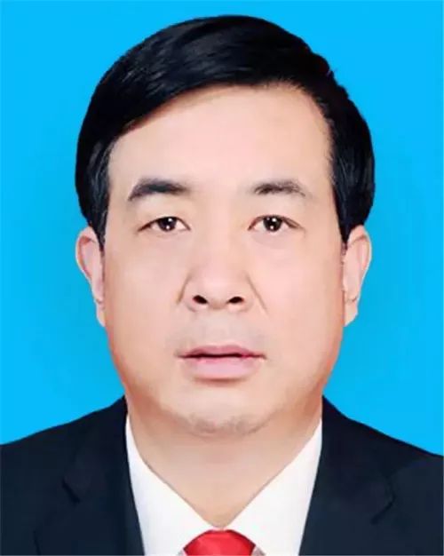 周友红最新任命,背景、影响及地位深度解析