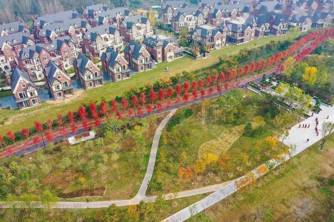 开封欧洲小镇,最新动态揭秘变化中的魅力与自信力量