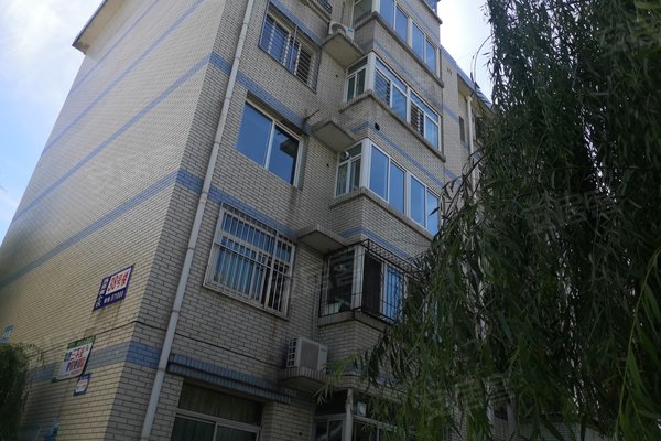 定兴房子最新动态与温馨故事揭秘