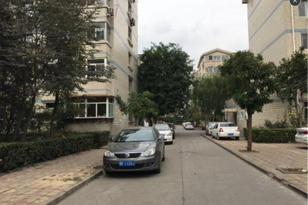 定兴房子最新动态与温馨故事揭秘