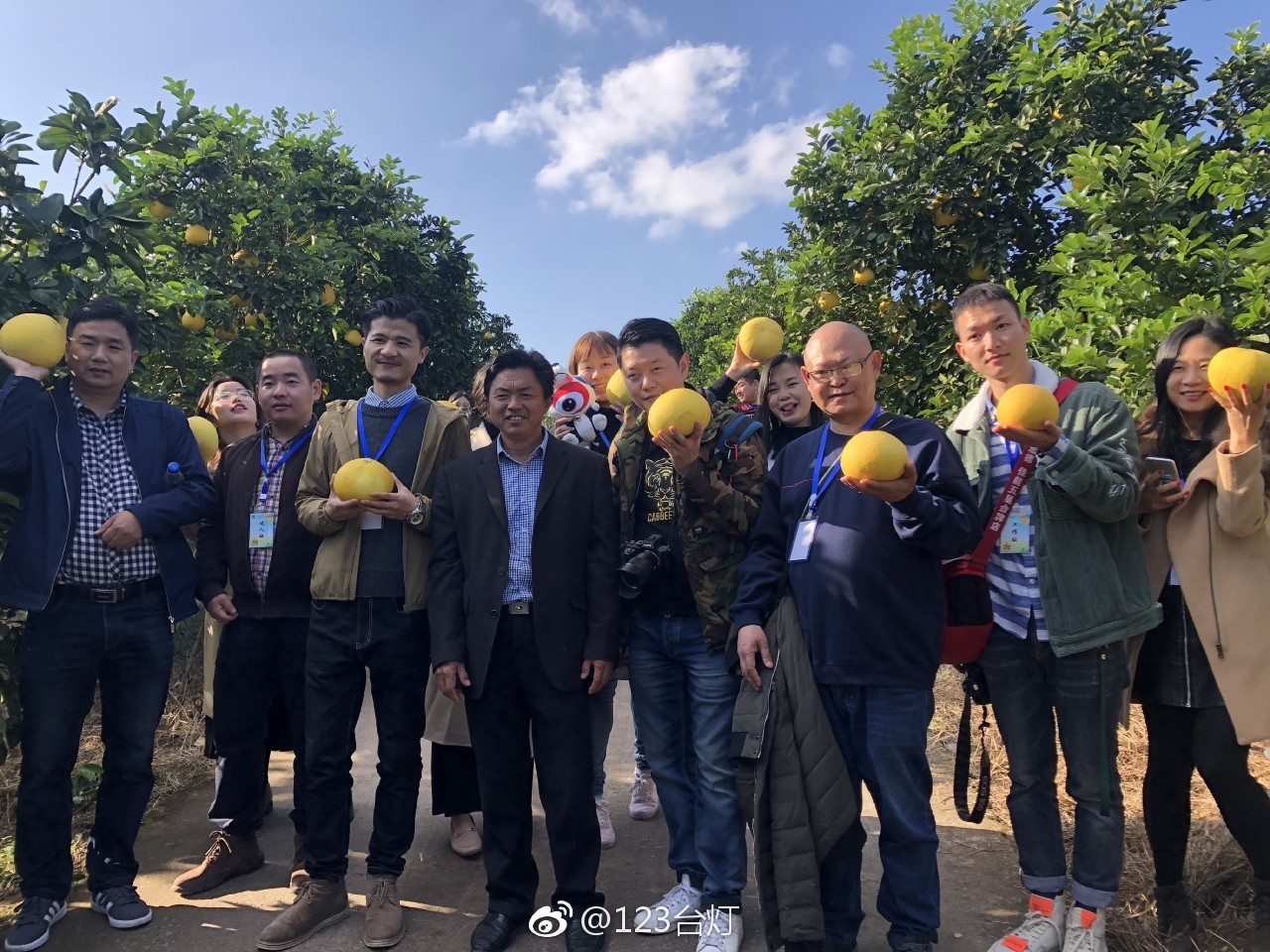 丰果游天下最新动态，小巷中的独特风味探索之旅