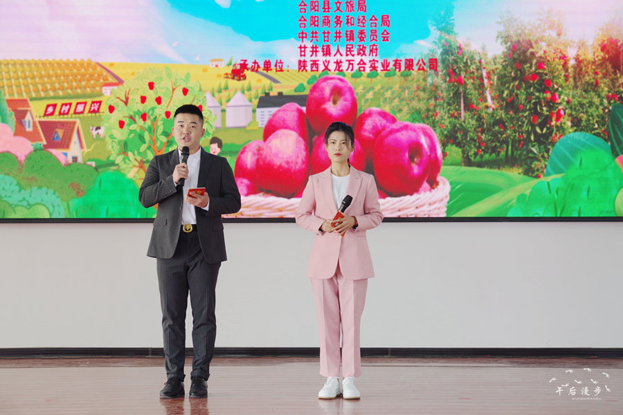 丰果游天下最新动态,小巷中的独特风味探索之旅