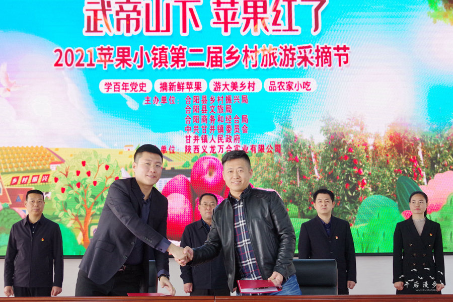 丰果游天下最新动态,小巷中的独特风味探索之旅