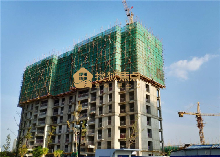 椿林佳园最新施工进度更新