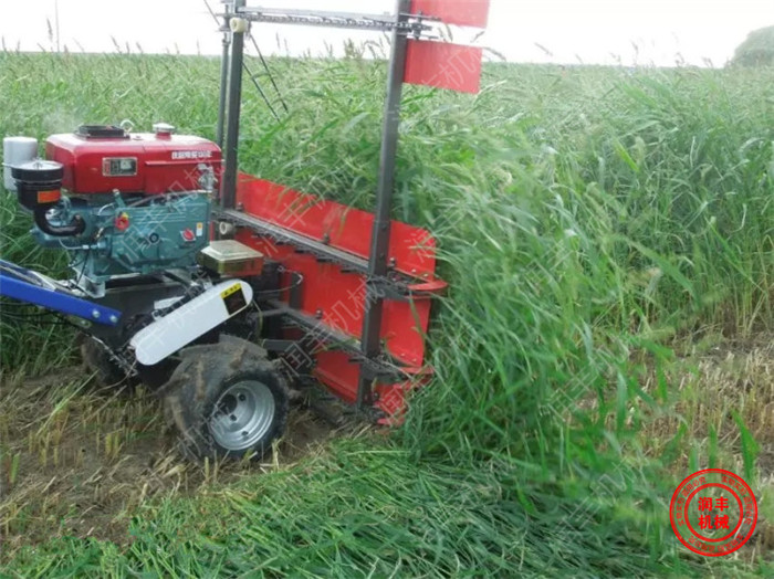 最新小型油菜收割机及其使用指南