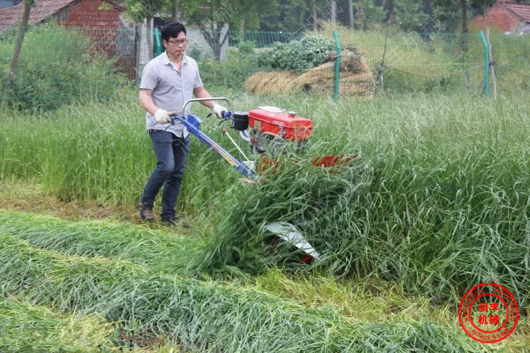 最新小型油菜收割机及其使用指南